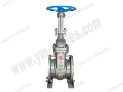 Rising Stem Gate Valve